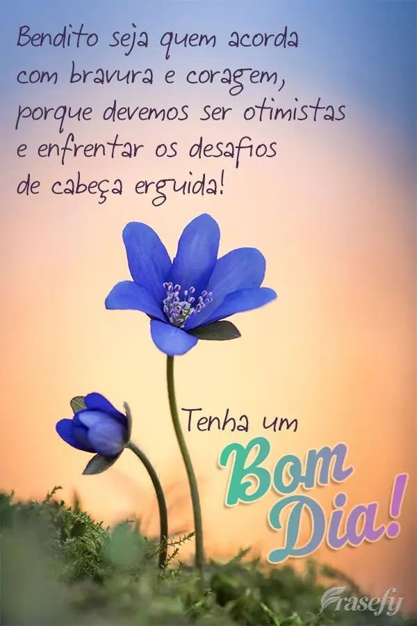 Bendito seja quem acorda com bravura e coragem, porque devemos ser otimistas e enfrentar os desafios de cabeça erguida!  Tenha um Bom dia!