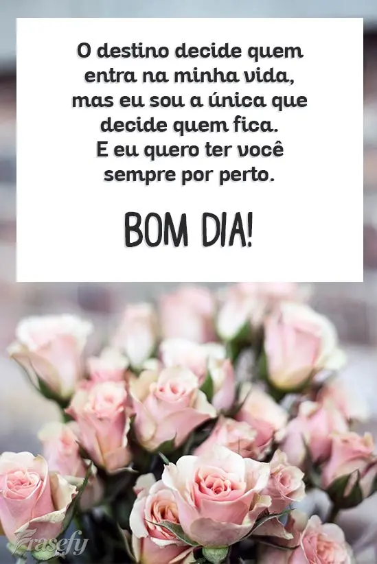 Bom dia! Bom dia!