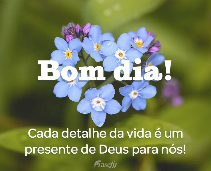 Cada detalhe da vida é um presente de Deus para nós! Bom dia!