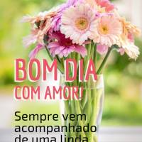 Bom dia com amor! Sempre vem acompanhado de uma linda flor!