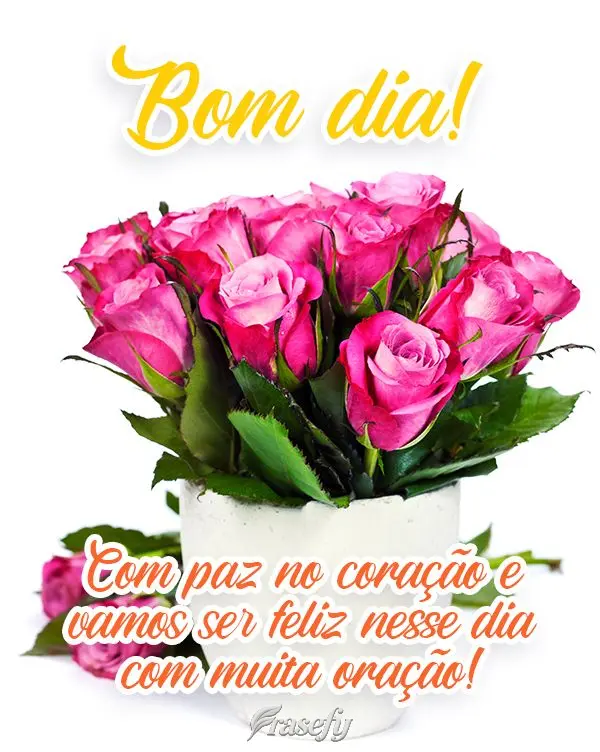 Bom dia com paz no coração e vamos ser feliz nesse dia, com muita oração!
