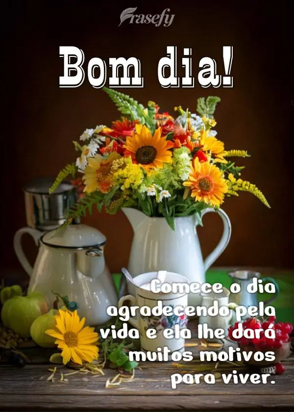 Comece o dia agradecendo pela vida e ela lhe dará muitos motivos para viver. Bom dia!
