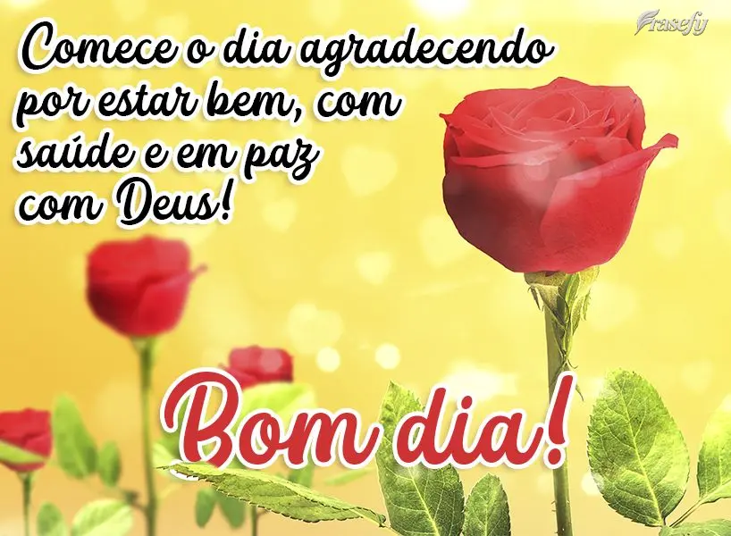 Comece o dia agradecendo por estar bem, com saúde e em paz com Deus! Bom dia! 
