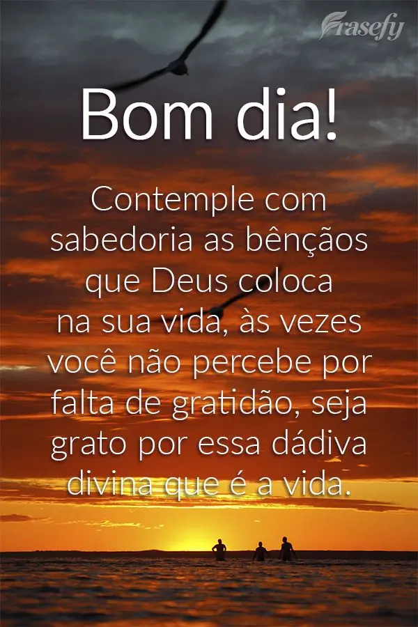 Contemple com sabedoria as bênçãos que Deus coloca na sua vida. Às vezes você não percebe, por falta de gratidão. Seja grato por essa dádiva divi...