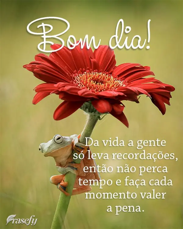 Da vida a gente só leva recordações, então não perca tempo e faça cada momento valer a pena. Bom dia!