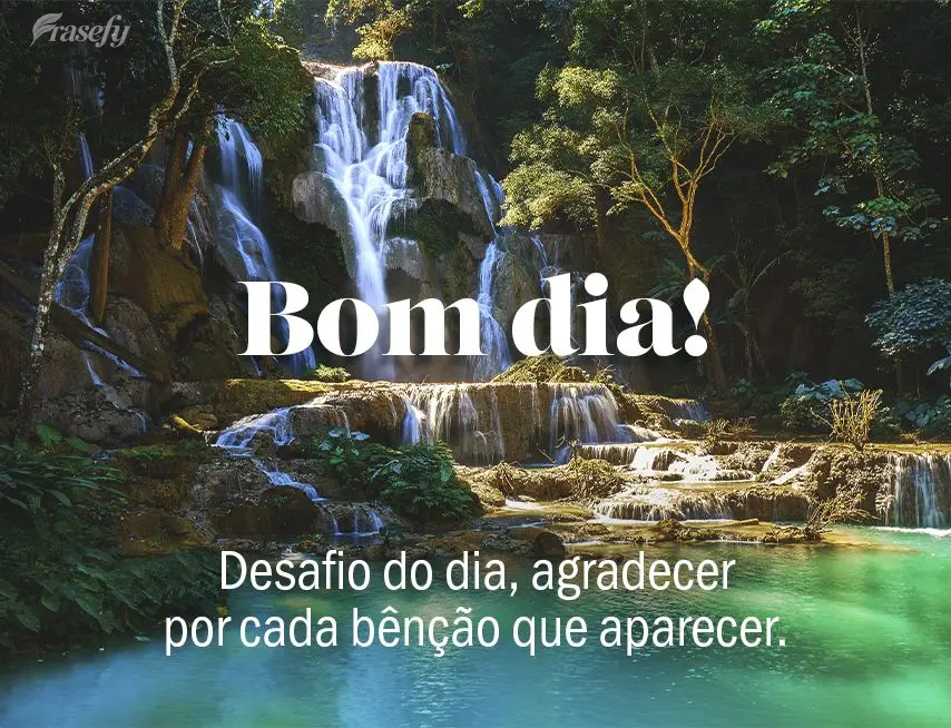 Desafio do dia, agradecer por cada bênção que aparecer. Bom dia! 