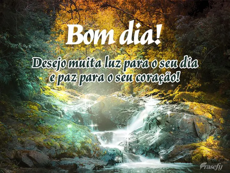Desejo muita luz para o seu dia e paz para o seu coração! Bom dia! 