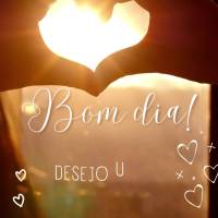 Desejo um dia cheio de amor, paz e gratidão! Bom dia! 