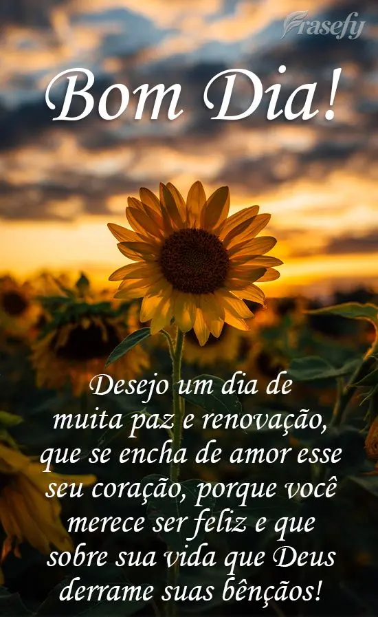 Desejo um dia de muita paz e renovação, que se encha de amor esse seu coração, porque você merece ser feliz; e que sobre sua vida que Deus derrame s...