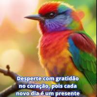 Desperte com gratidão no coração, pois cada novo dia é um presente cheio de possibilidades. Que sua luz ilumine todos ao seu redor! Bom dia!