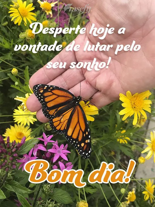 Desperte hoje a vontade de lutar pelo seu sonho! Bom dia!