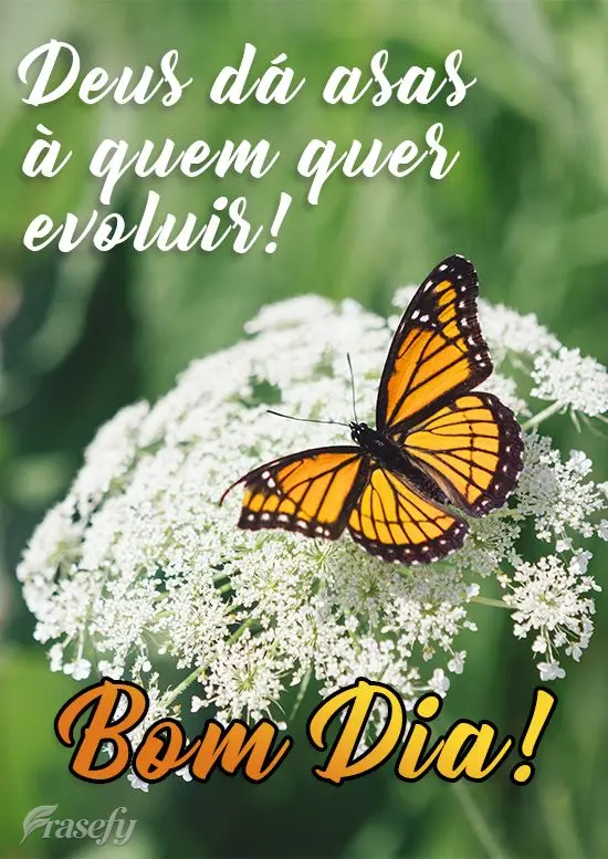 Deus dá asas a quem quer evoluir! 
 Bom Dia!