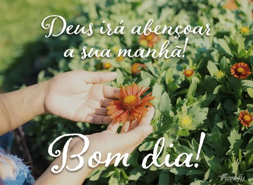 Deus irá abençoar a sua manhã! Bom dia!
