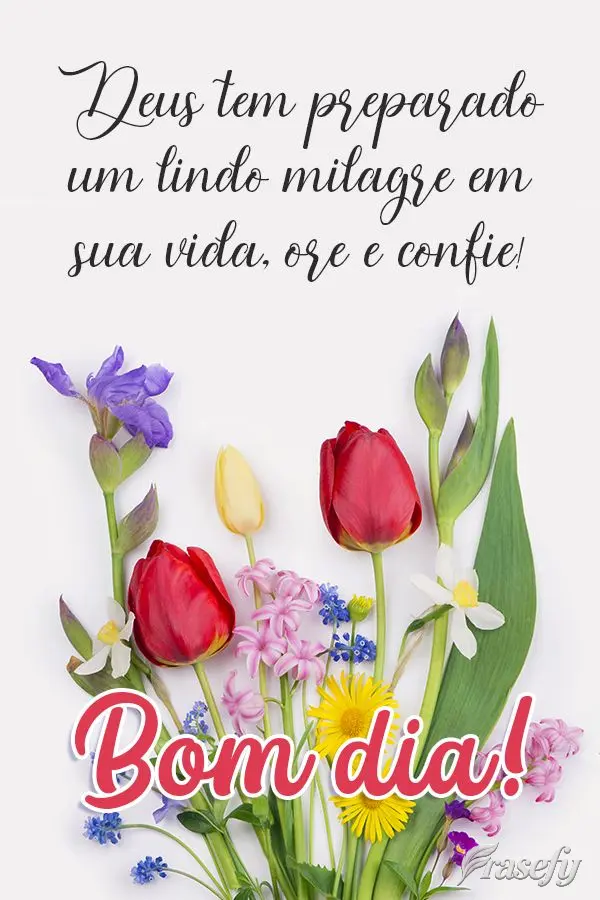 Deus tem preparado um lindo milagre em sua vida, ore e confie! Bom dia! 