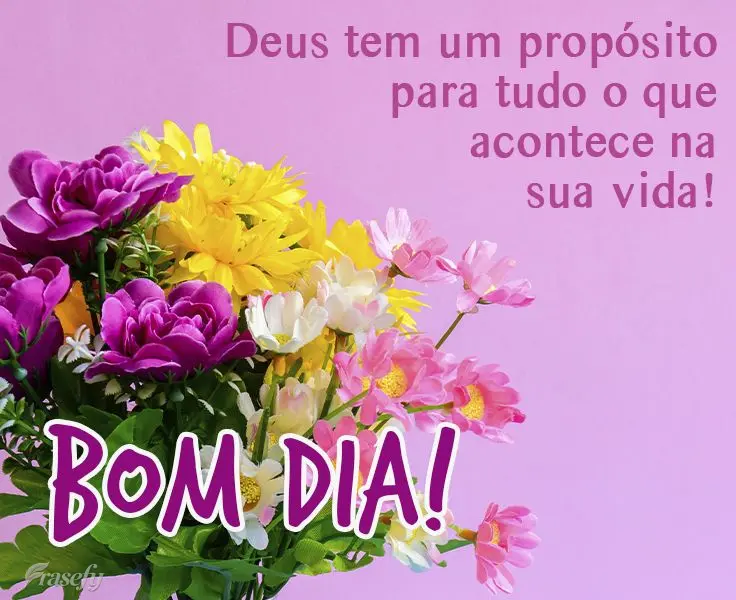 Deus tem um propósito para tudo o que acontece na sua vida! 
 Bom dia!
