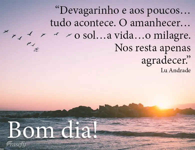 “Devagarinho e aos pouco tudo acontece. O amanhecer, o sol, a vida, o milagre. Nos resta apenas agradecer.” Bom dia! Lu Andrade