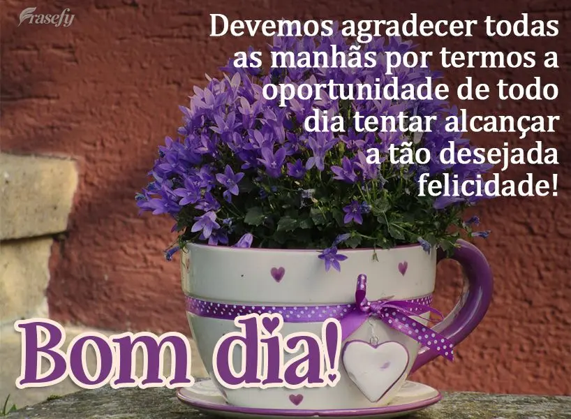 Devemos agradecer todas as manhãs por termos novas oportunidades que a vida nos dá, para descobrirmos a felicidade!  Bom dia!