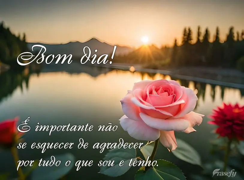 É importante não se esquecer de agradecer por tudo o que sou e tenho. Bom dia!