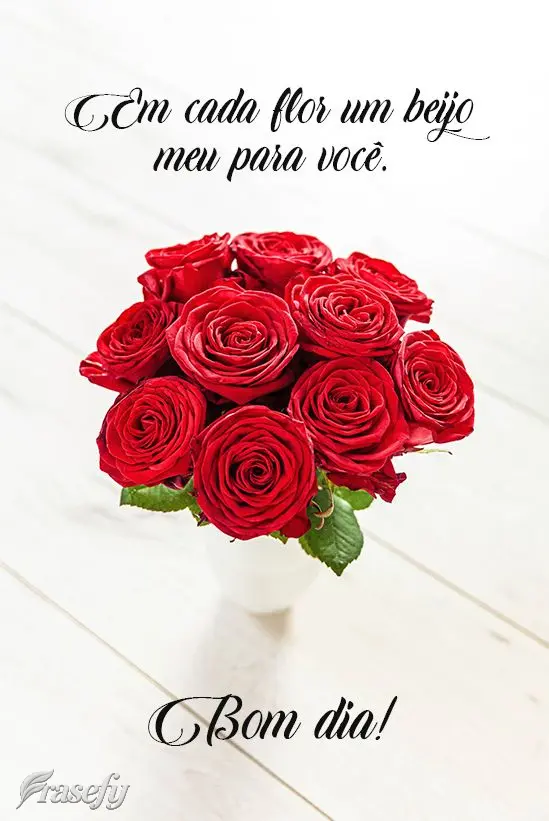 Em cada flor um beijo meu para você. Bom dia!