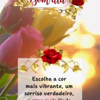 Escolha a cor mais vibrante, o sorriso mais verdadeiro, a rosa mais linda e permita-se ser feliz! Bom dia!