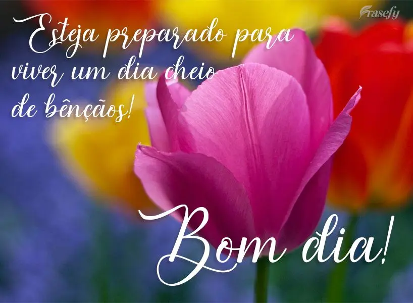 Esteja preparado para viver um dia cheio de bênçãos!  Bom dia!