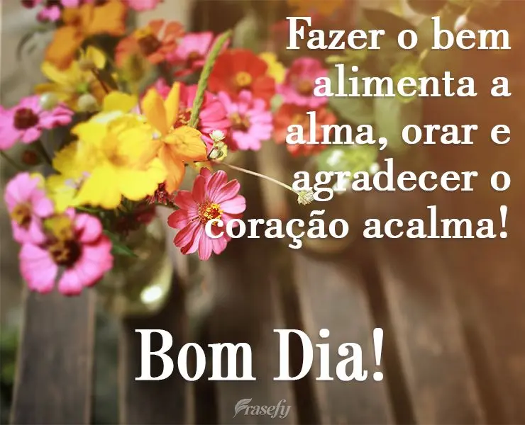 Fazer o bem alimenta a alma, orar e agradecer, o coração acalma! 
 Bom Dia!