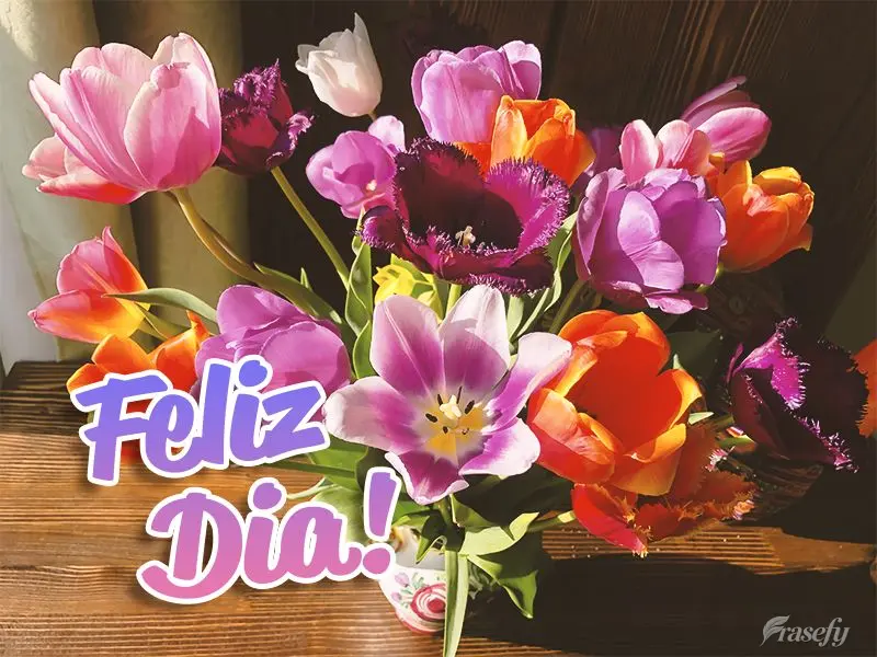 Feliz dia!