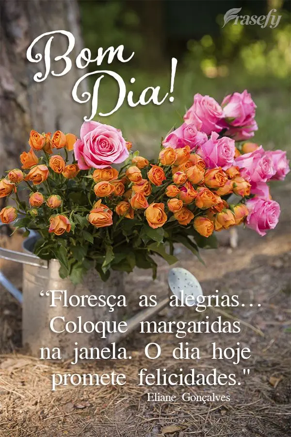 “Floresça as alegrias… Coloque margaridas na janela. O dia hoje promete felicidades." Bom dia!  Eliane Gonçalves