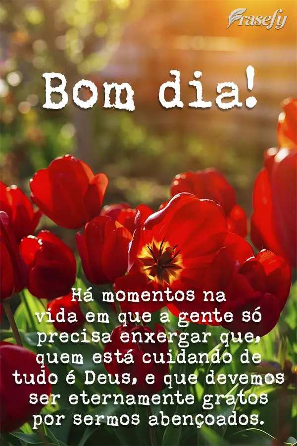 Há momentos na vida em que a gente só precisa enxergar que quem está cuidando de tudo é Deus, e que devemos ser eternamente gratos por sermos abenço...