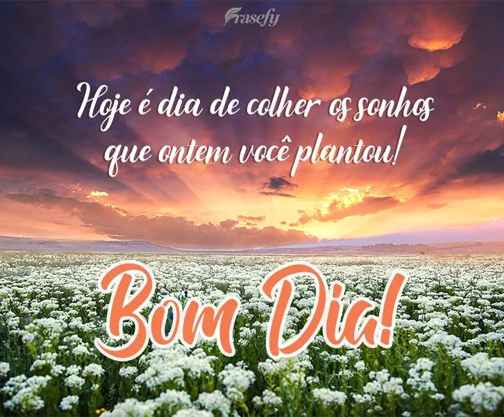Hoje é dia de colher os sonhos que ontem você plantou!  Bom Dia!