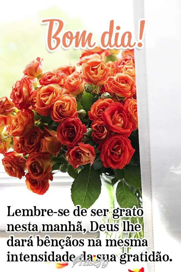 Lembre-se de ser grato nesta manhã, Deus lhe dará bênçãos na mesma intensidade da sua gratidão. Bom dia!