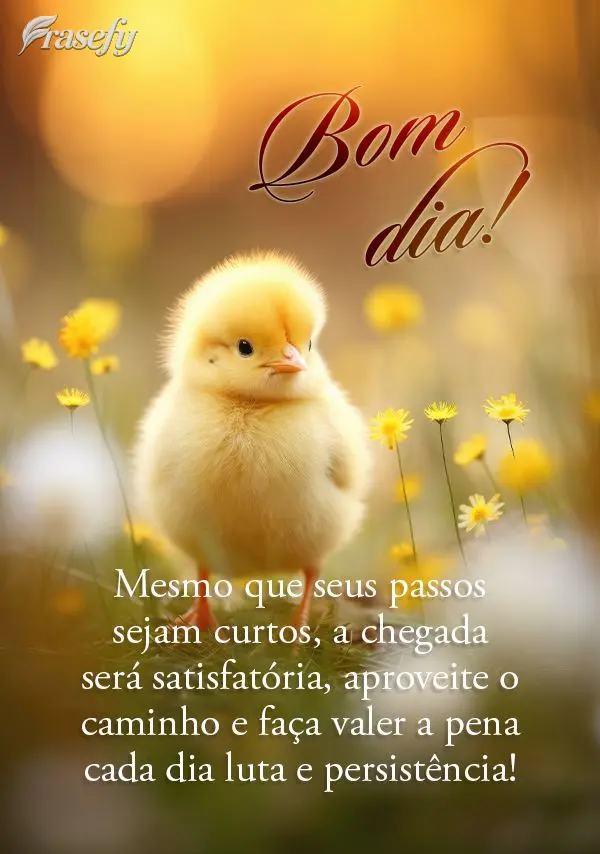 Mesmo que seus passos sejam curtos, a chegada será satisfatória, aproveite o caminho e faça valer a pena cada dia luta e persistência!  Bom dia! 