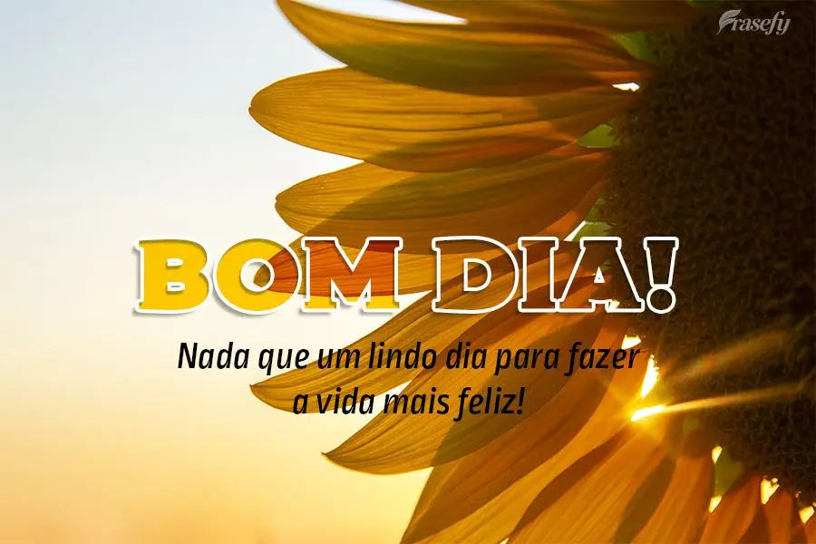 Nada que um lindo dia para fazer a vida mais feliz! Bom dia!