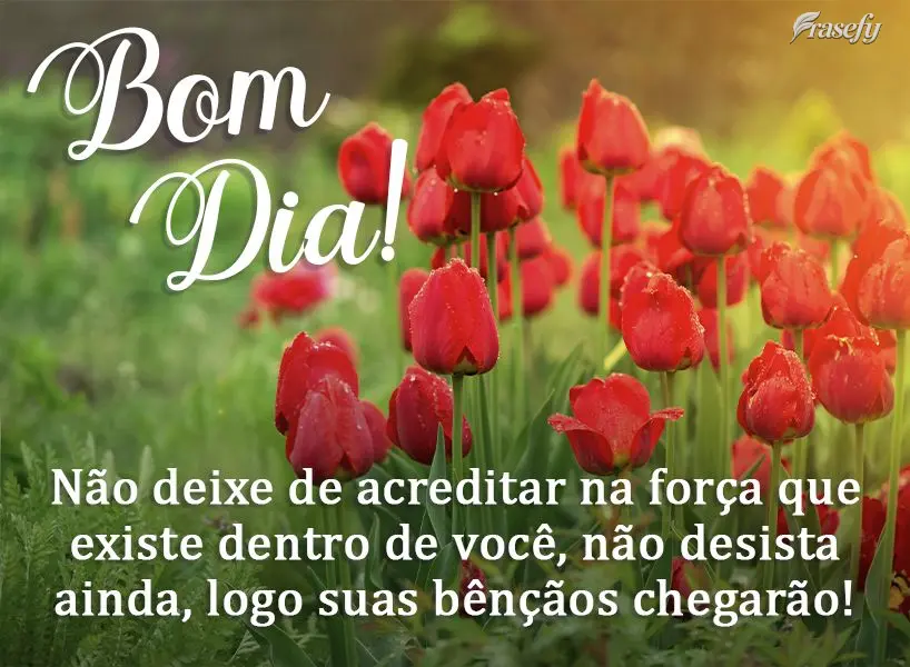 Não deixe de acreditar na força que existe dentro de você. Não desista ainda, logo suas bênçãos chegarão! Bom dia! 