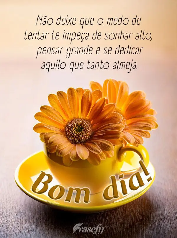 Não deixe que o medo de tentar te impeça de sonhar alto, pensar grande e se dedicar aquilo que tanto almeja.  Bom dia!