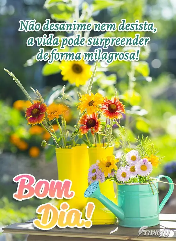 Não desanime nem desista, a vida pode surpreender de forma milagrosa! Bom dia!