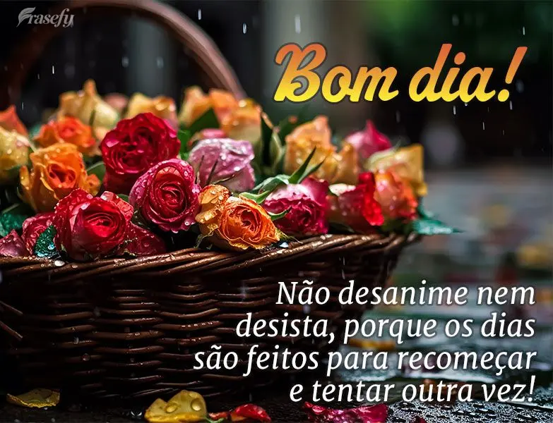 Não desanime nem desista, porque os dias são feitos para recomeçar e tentar outra vez! Bom dia! 