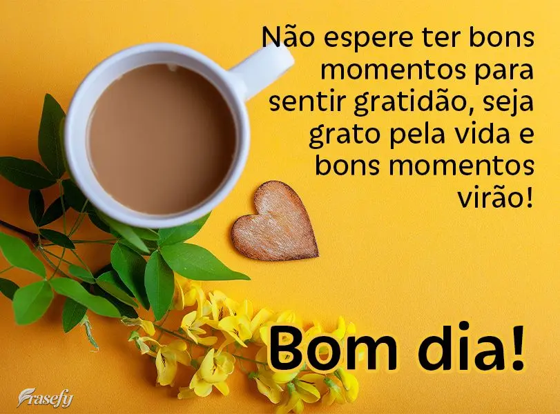 Não espere ter bons momentos para sentir gratidão, seja grato pela vida e bons momentos virão! Bom dia!