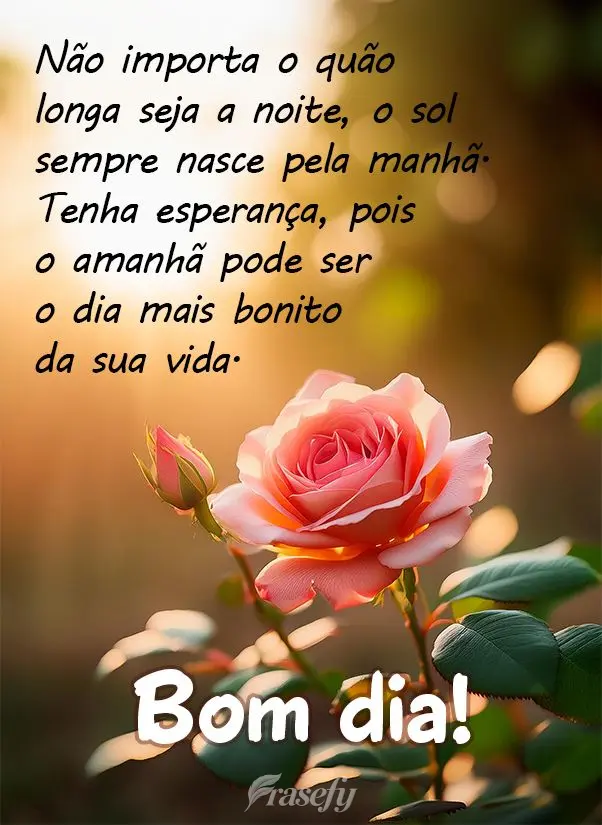 Não importa o quão longa seja a noite, o sol sempre nasce pela manhã. Tenha esperança, pois o amanhã pode ser o dia mais bonito da sua vida. Bom dia...