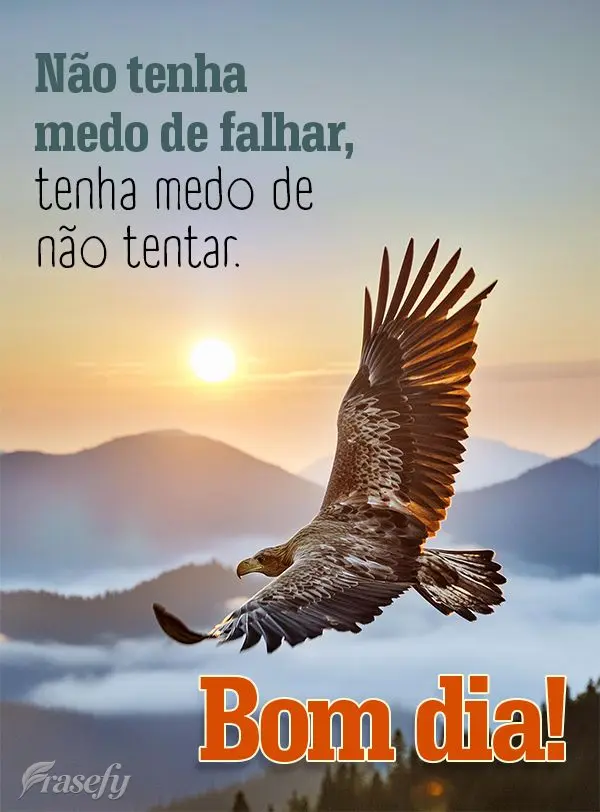 Não tenha medo de falhar, tenha medo de não tentar. Bom dia!