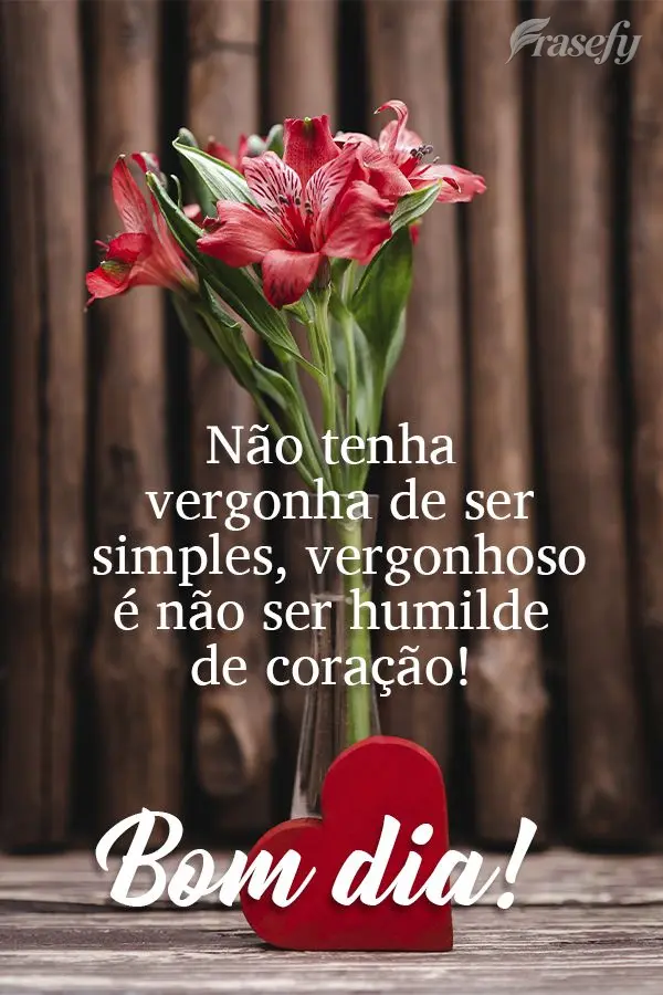 Não tenha vergonha de ser simples, vergonhoso é não ser humilde de coração!  Bom dia!