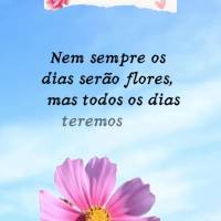 Nem sempre os dias serão flores, mas todos os dias teremos fé! Bom dia!