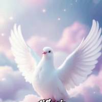 O amor de Deus é como a luz do sol que desperta a cada manhã - constante, renovador e infinito. Ele nos abraça nos momentos difíceis e celebra conosc...