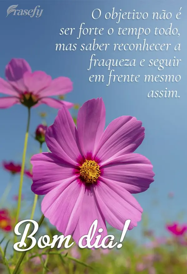 O objetivo não é ser forte o tempo todo, mas saber reconhecer a fraqueza e seguir em frente mesmo assim. Bom dia!