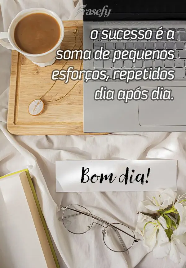 O sucesso é a soma de pequenos esforços, repetidos dia após dia. Bom dia!