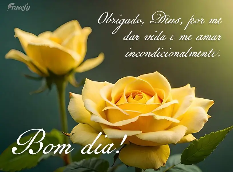 Obrigado, Deus, por me dar vida e me amar incondicionalmente. Bom dia!