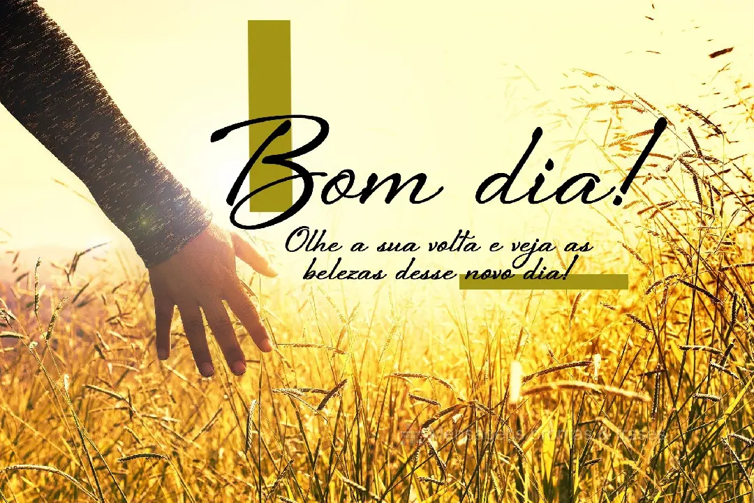 Olhe a sua volta e veja as belezas desse novo dia! Bom dia!