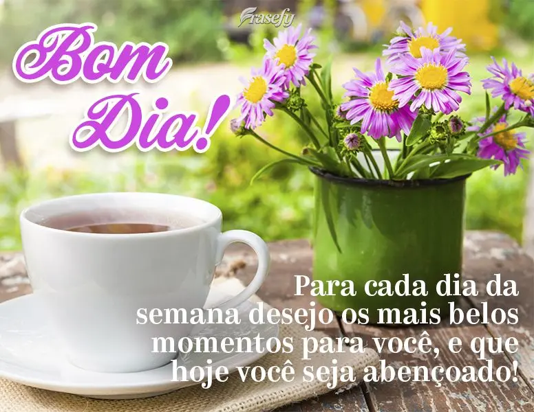 Para cada dia da semana desejo os mais belos momentos para você, e que hoje você seja abençoado! Bom dia!