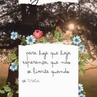 Para hoje que haja esperança, que não se limite quando se trata de sonhar e que possamos caminhar sempre otimista aproveitando a jornada da vida! Bom d...