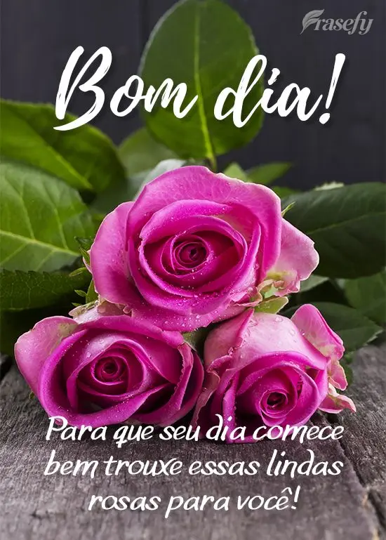 Para que seu dia comece bem trouxe essas lindas rosas para você! 
 Bom dia!
